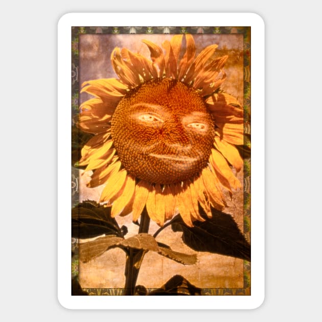 Sun Flower Sticker by becky-titus